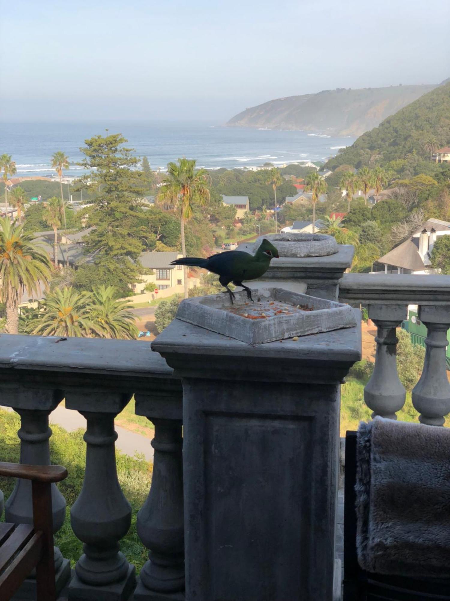 Livingstone Villa Wildernis Eksteriør bilde