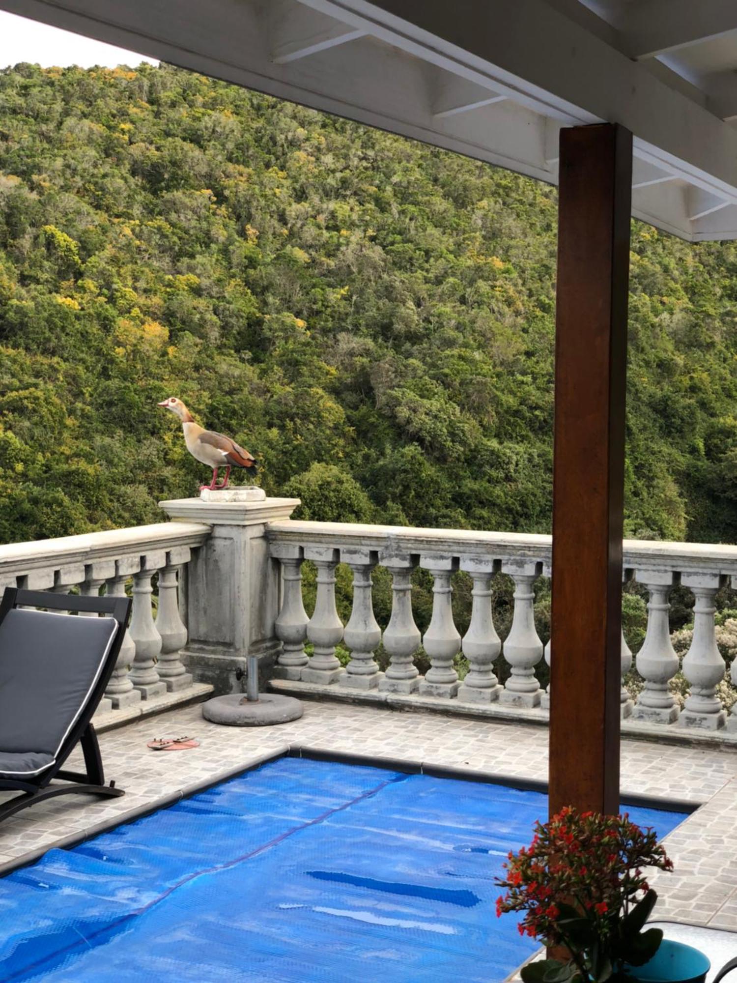 Livingstone Villa Wildernis Eksteriør bilde